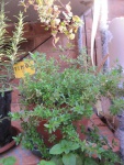 Immagine-005.jpg