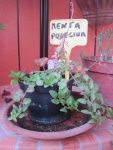 Immagine-024.jpg