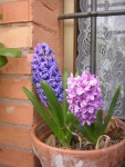 DSCN6534.jpg