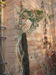 Immagine-013.jpg