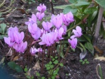 DSCN6916.jpg